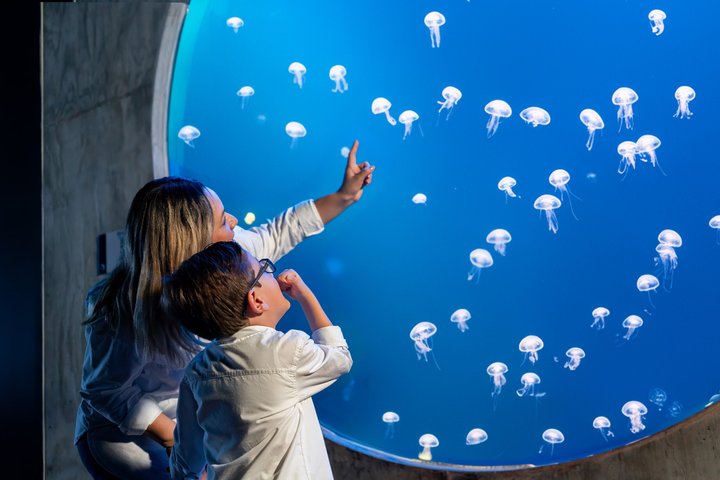 Tickets to the Grand Aquarium Mazatlan