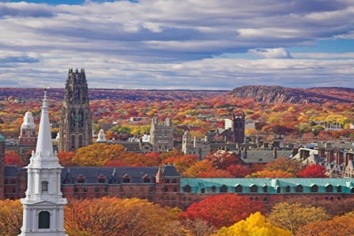 New Haven Scavenger Hunt Adventure