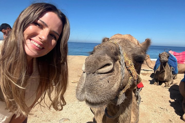 Tangier Half Day Tour Perfect for Cruise and ferry Travelers