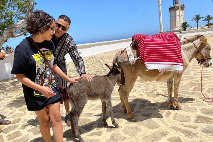 Tangier Half Day Tour Perfect for Cruise and ferry Travelers