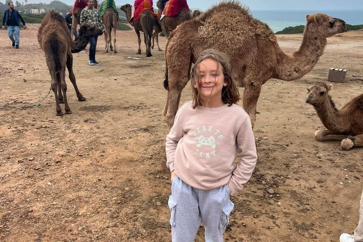 Tangier Half Day Tour Perfect for Cruise and ferry Travelers