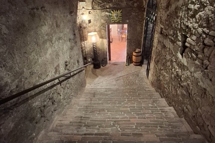 Tasting Tour in One of The Most Beautiful Cellars in the World