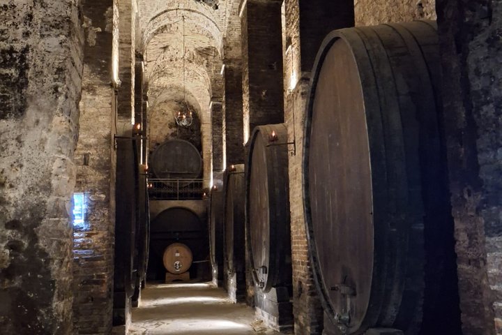 Tasting Tour in One of The Most Beautiful Cellars in the World
