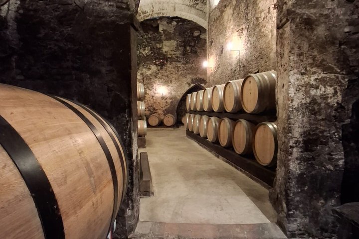 Tasting Tour in One of The Most Beautiful Cellars in the World