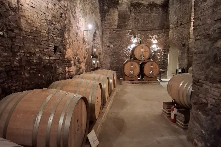 Tasting Tour in One of The Most Beautiful Cellars in the World