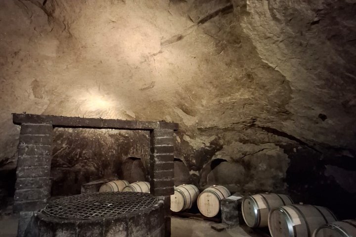 Tasting Tour in One of The Most Beautiful Cellars in the World