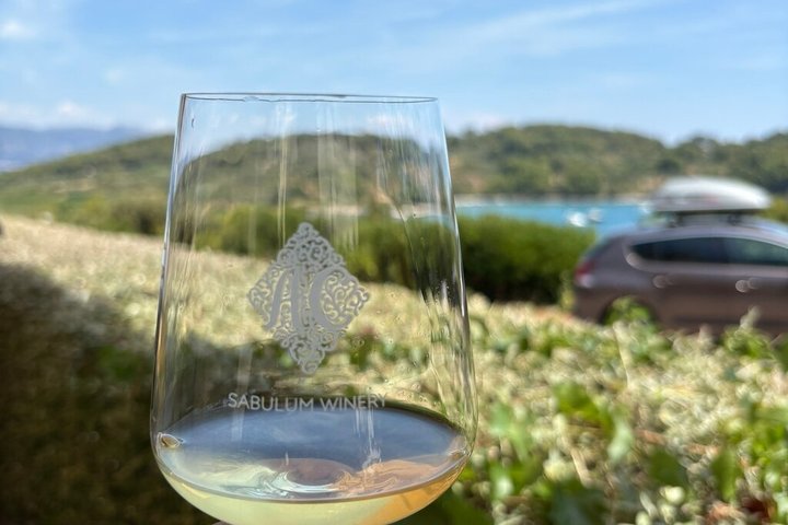 Wine tour Korčula - private tour