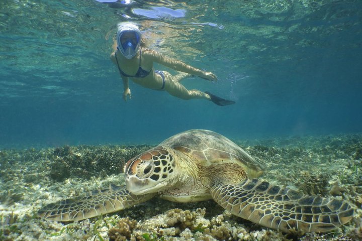 Full Day Water Taxi to Amedee Island from Noumea