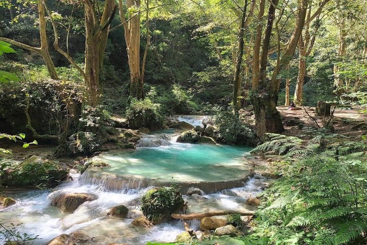 Sierra Gorda Tour in 1 day with starting from Querétaro