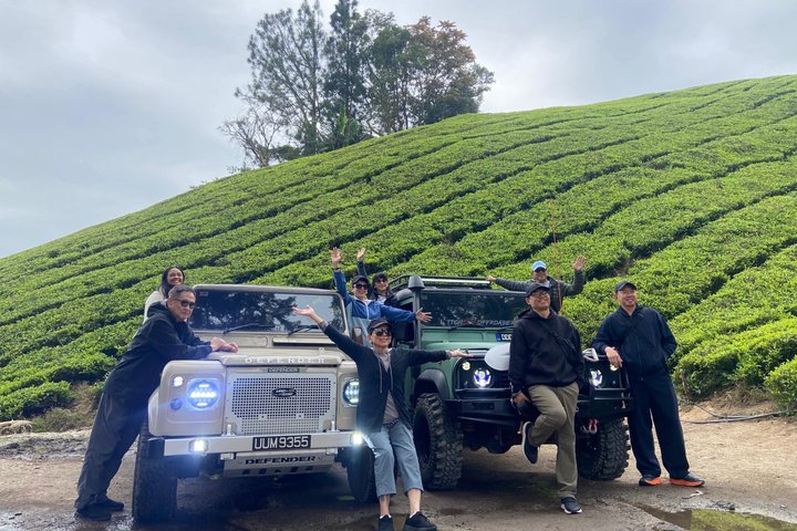 Full Day Mossy Forest Experience