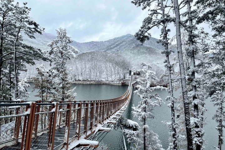 DMZ Tour: NK Defector Meet up, 3rd Tunnel & Suspension Bridge
