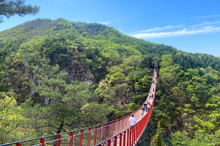 DMZ Tour: NK Defector Meet up, 3rd Tunnel & Suspension Bridge