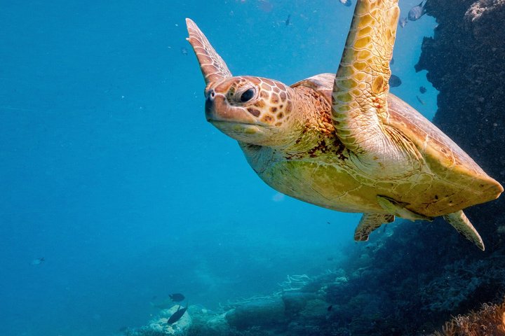 2 Day Great Barrier Reef "PREMIUM Reefsleep" Experience