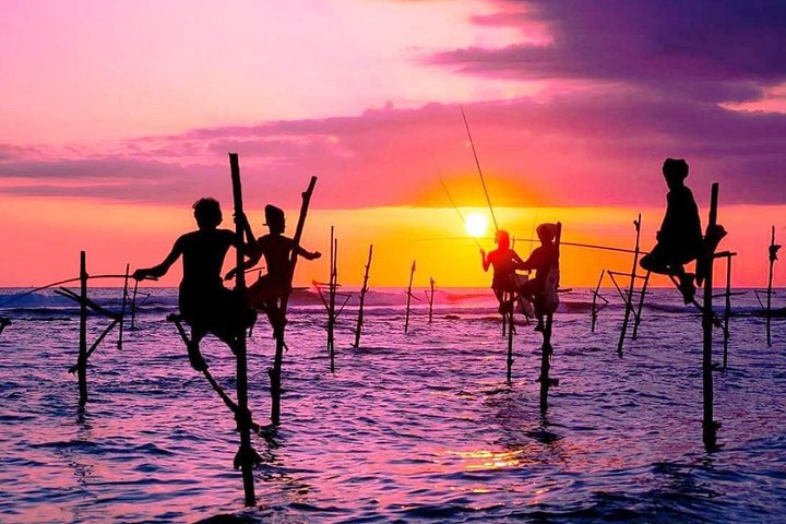 Galle Day Trip with Stilt Fishing & Turtle Hatchery
