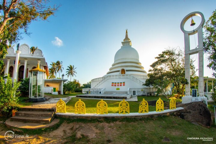 Galle Day Trip with Stilt Fishing & Turtle Hatchery