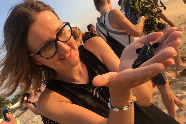 Galle Day Trip with Stilt Fishing & Turtle Hatchery