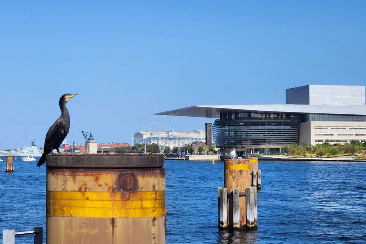Walk & Canal Tour: Copenhagen Highlights + Changing of the Guards