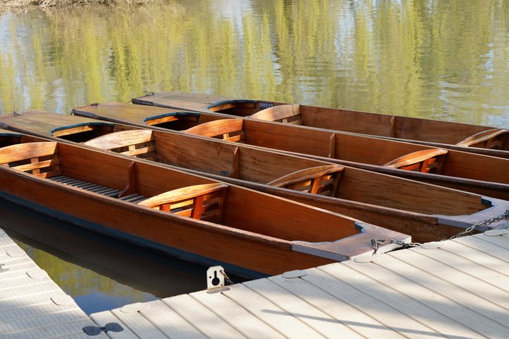 Cambridge Student-Led Shared Punting Tour (English or Chinese)