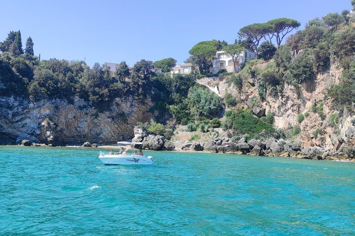 Ulysses Coast Boat Tours