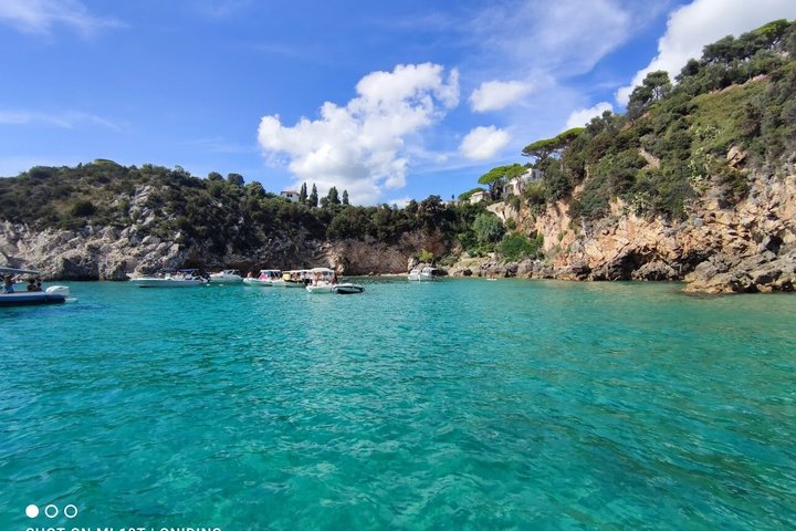Ulysses Coast Boat Tours