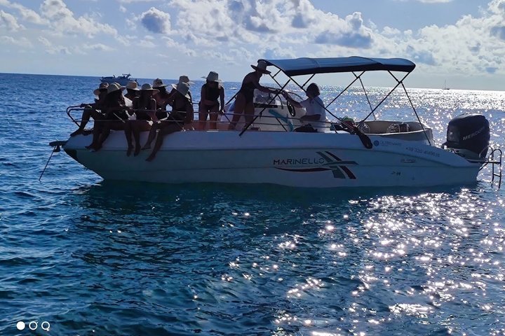 Ulysses Coast Boat Tours