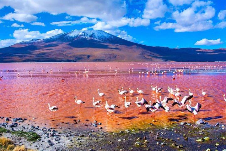 Your Best Uyuni Experience: 3-Day Salt Flats, Lagoons & Deserts