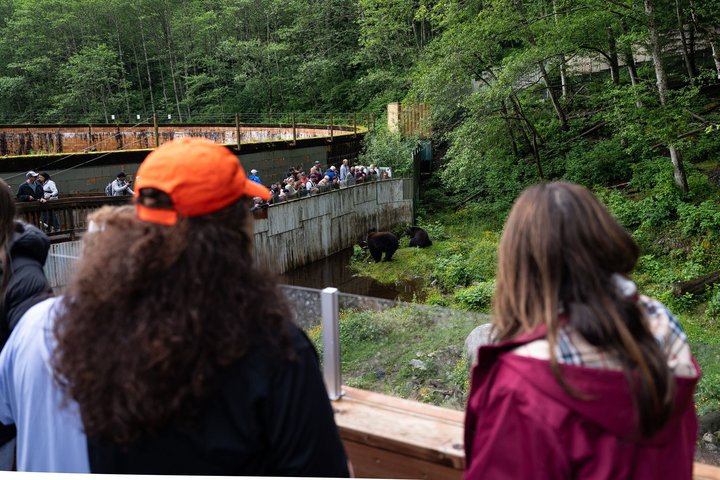 Sitka Historical Highlight Tour