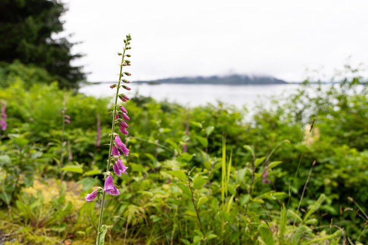 Sitka Historical Highlight Tour