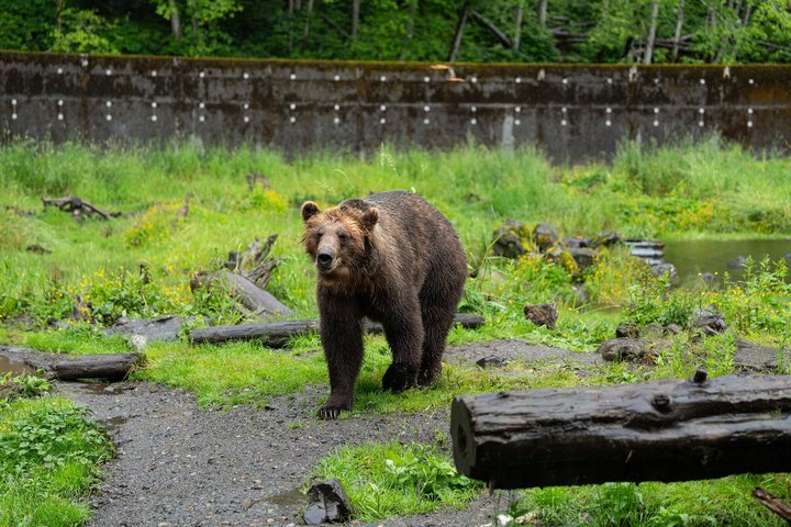Sitka Historical Highlight Tour