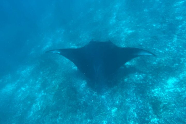 Early Morning Group Speedboat Tour to Komodo National Park