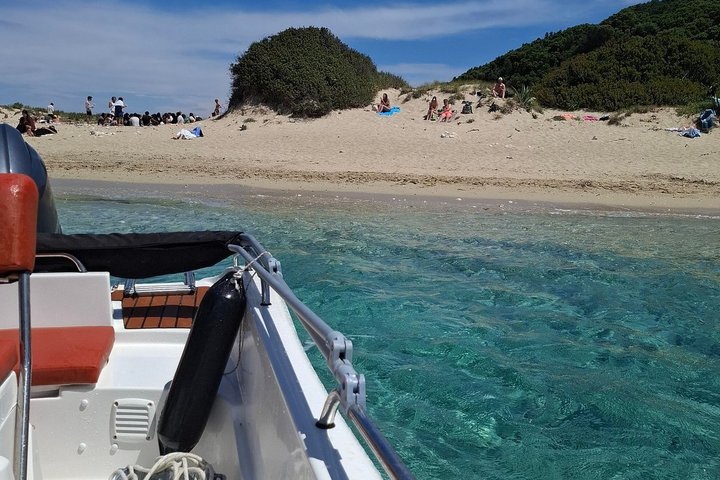 Zakynthos Turtle Tour Small Group Turtle Spotting & Turtle Island