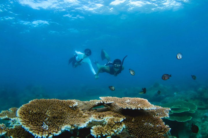 Kota Kinabalu: Catamaran, Paddleboard, Kayak, Snorkeling Tour