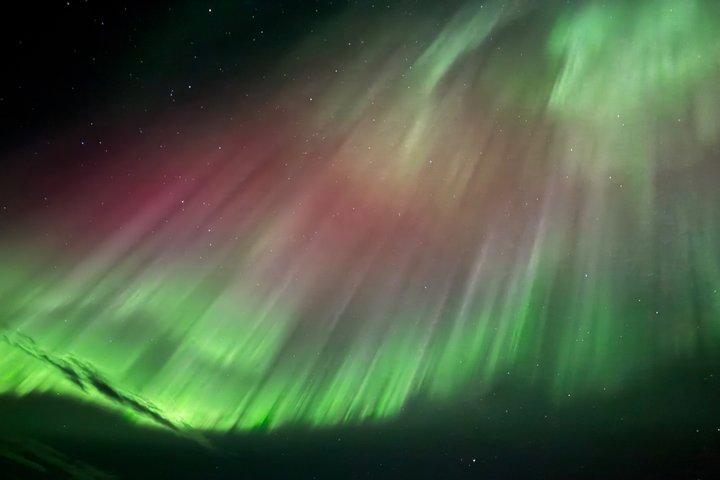 Kiruna: Aurora Chase with Street Food Dinner & Nature Guides
