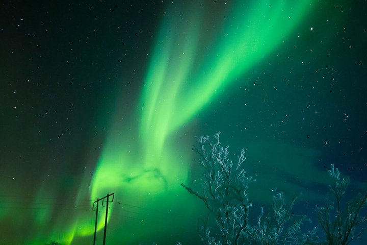 Kiruna: Aurora Chase with Street Food Dinner & Nature Guides