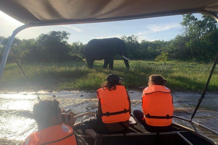 One Day Akagera Wildlife Safari