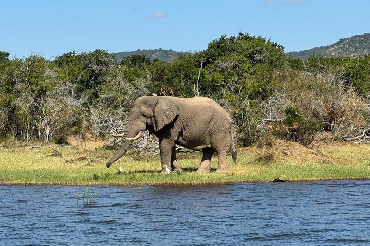 One Day Akagera Wildlife Safari