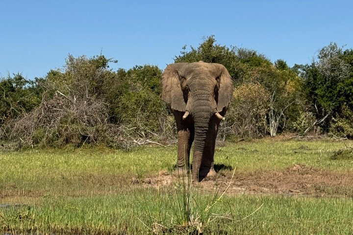 One Day Akagera Wildlife Safari