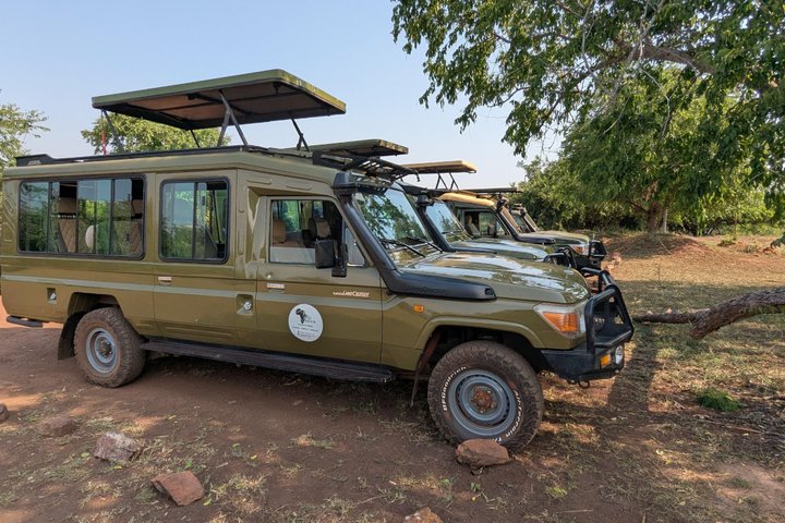 One Day Akagera Wildlife Safari