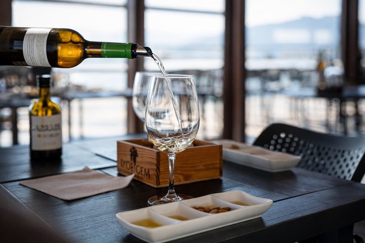 Douro Valley Small Group Tour: 2 Wineries, Lunch & River Cruise
