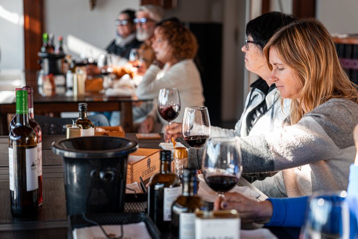 Douro Valley Small Group Tour: 2 Wineries, Lunch & River Cruise