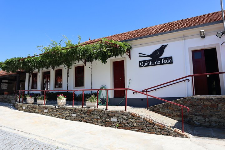 Douro Valley Small Group Tour: 2 Wineries, Lunch & River Cruise