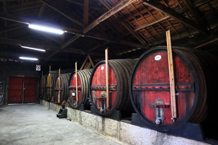 Douro Valley Small Group Tour: 2 Wineries, Lunch & River Cruise