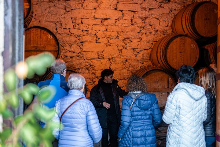 Douro Valley Small Group Tour: 2 Wineries, Lunch & River Cruise