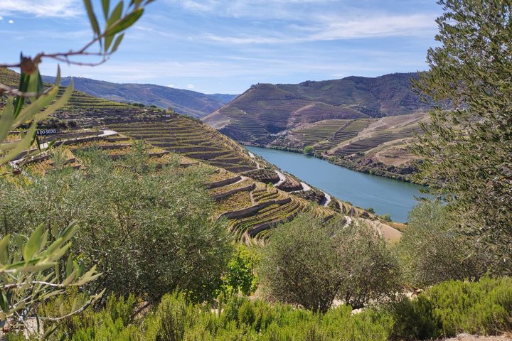 Douro Valley Small Group Tour: 2 Wineries, Lunch & River Cruise