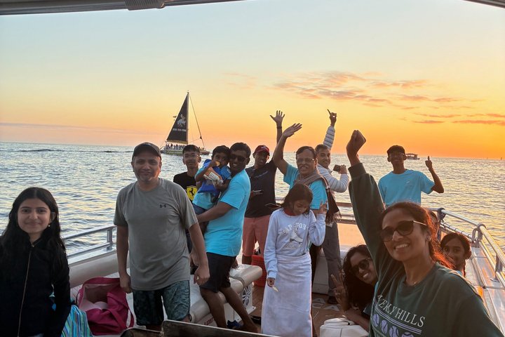 Shell Island Snorkel And Dolphin Sightseeing
