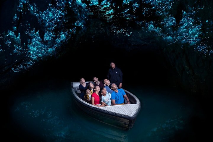 Hobbiton & Waitomo Caves Guided Tour from Auckland with Lunch