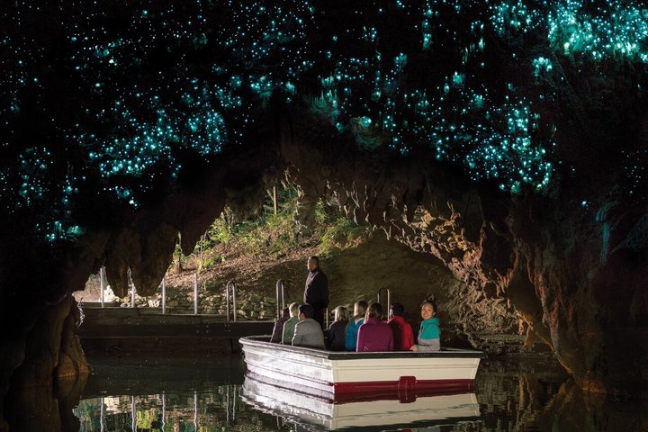 Hobbiton & Waitomo Caves Guided Tour from Auckland with Lunch