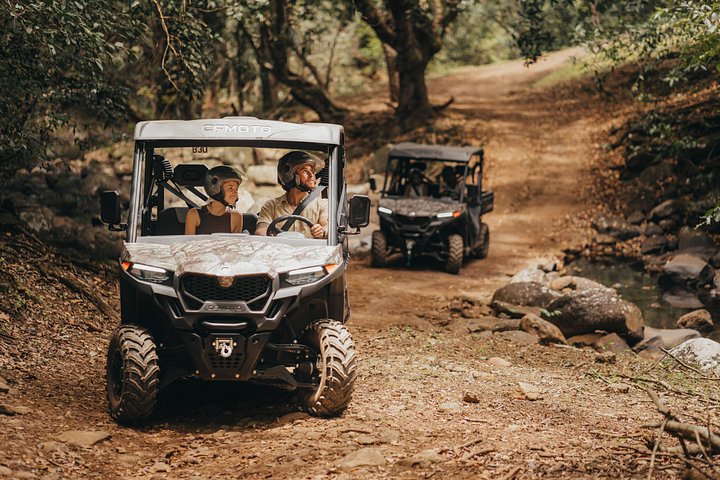 Mauritius: 2 Hours Buggy Ride - Bel Ombre Nature Reserve