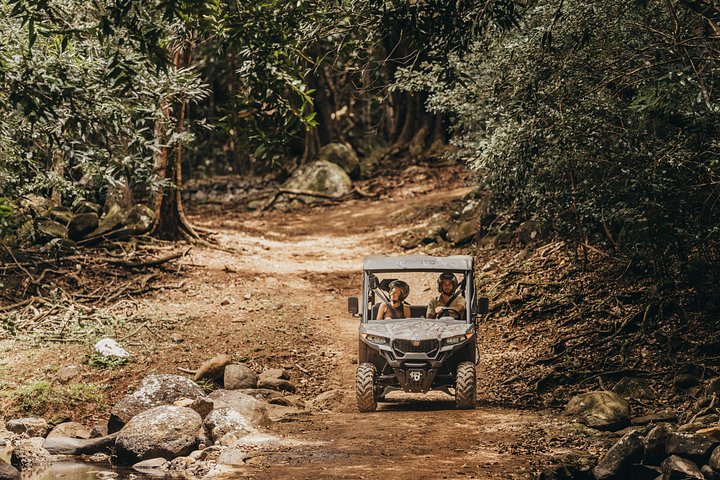 Mauritius: 2 Hours Buggy Ride - Bel Ombre Nature Reserve