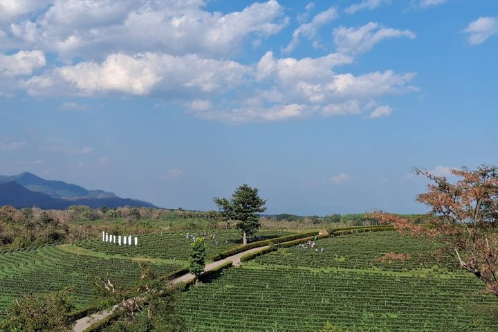 Full Day Group Tour in Chiang Rai